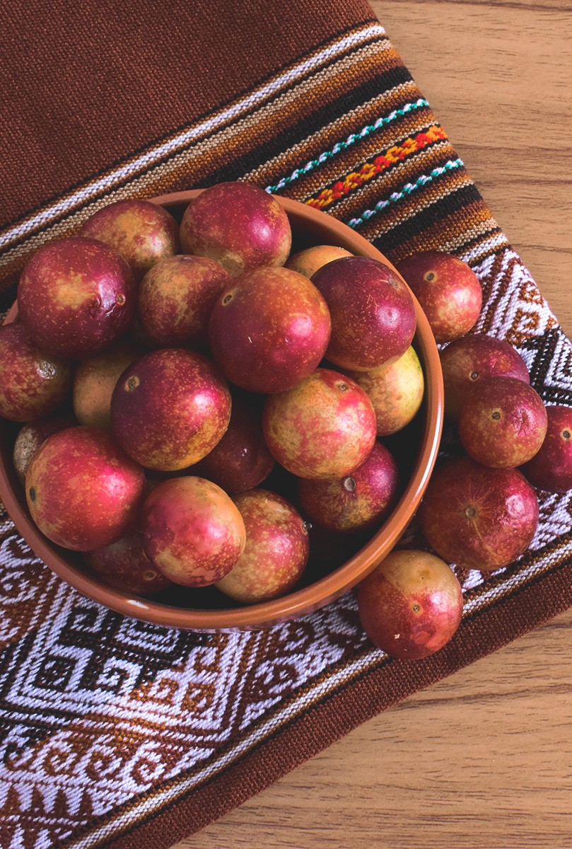 Foto de la cosecha de aguaje, cacao o camu camu